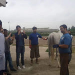 Uludağ Üniversitesi Atçılık Eğitim